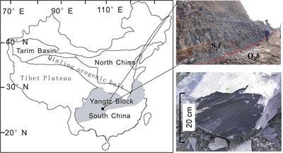 Preliminary Experimental Study of Methane Adsorption Capacity in Shale After Brittle Deformation Under Uniaxial Compression